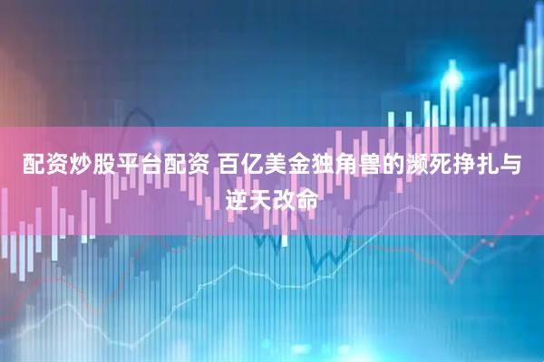 配资炒股平台配资 百亿美金独角兽的濒死挣扎与逆天改命