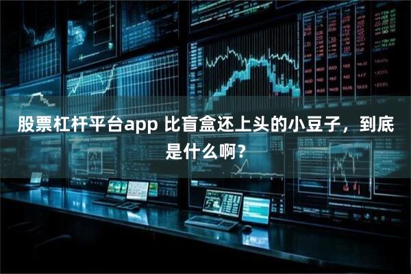 股票杠杆平台app 比盲盒还上头的小豆子，到底是什么啊？